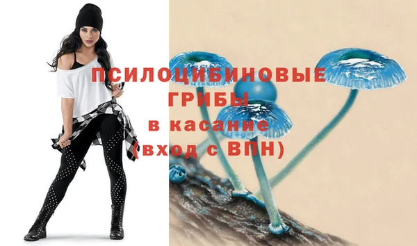 эйфоретик Алзамай