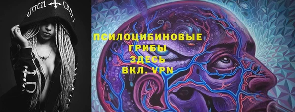прущий лед Алексин