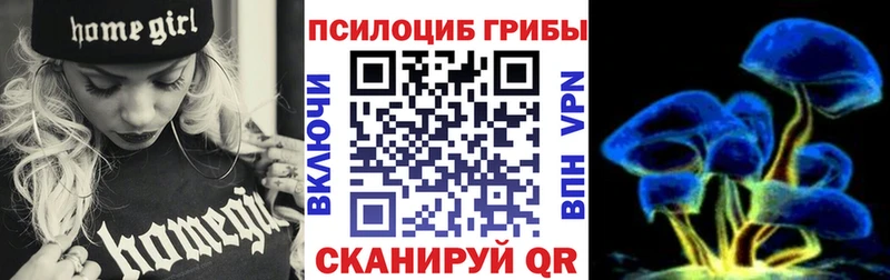 shop состав  купить закладку  Заинск  Галлюциногенные грибы Cubensis 